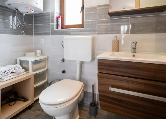 Nasa Kucica, Ruzic, Delnice, Gorski Kotar Apartment Delnice
